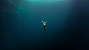 Dolphin Man — foto 4