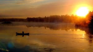 Ray Mears' Northern Wilderness — foto 1