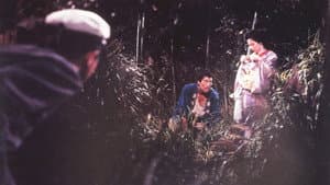 天城越え — foto 3