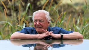 David Attenborough's Global Adventure — foto 3