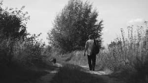 Kundel — foto 2