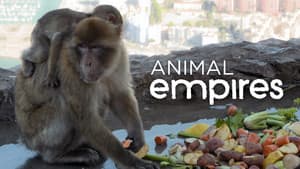 Animal Empires — foto 1