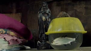 Isda — foto 2