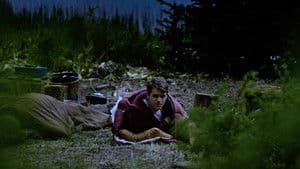 Grizzly Night — foto 5
