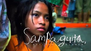 Sampaguita: The National Flower — foto 4