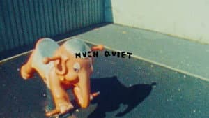Vans - Much Quiet — foto 2
