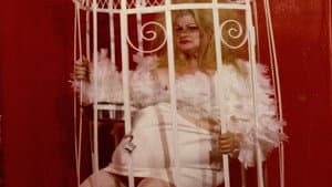 Love Letter to Edie — foto 1