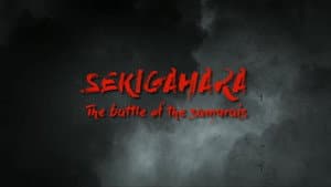 Episodio 8