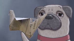 Monsieur Pug — foto 1