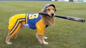 Air Bud: El bateador de oro — foto 3
