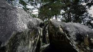 Aventure à Bleau — foto 2
