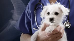 Trust Me, I'm a Vet — foto 1