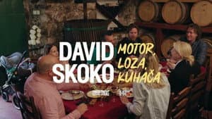 David Skoko: Motor, loza, kuhača — foto 2
