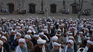 Osama — foto 12