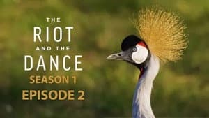 Episodio 2