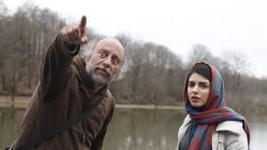 ماهی و گربه — foto 4