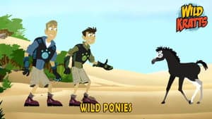 Episodio 7