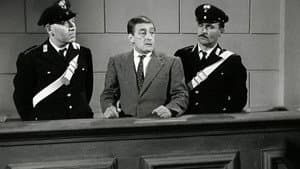 Dov'è la libertà...? — foto 6