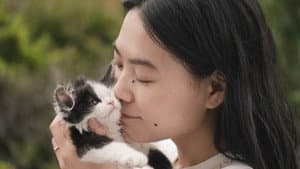 猫は逃げた — foto 2