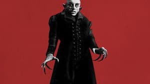 Nosferatu — foto 8