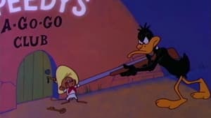 Swing Ding Amigo — foto 2
