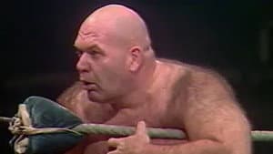 Episodio 15