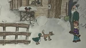 Peter und der Wolf — foto 2