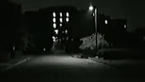 In the Dark — foto 6