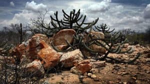 A Cabeça do Santo — foto 1