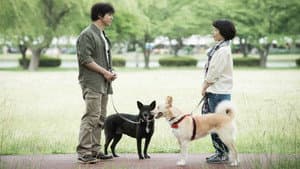 犬に名前をつける日 — foto 1