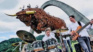 Drum The Bull — foto 1