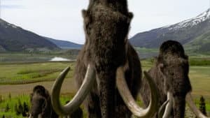 Paseando con Animales Prehistóricos — foto 12