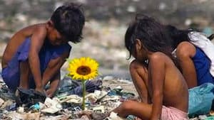 Ilha das Flores — foto 2