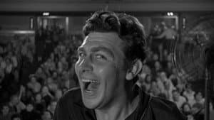 A Face in the Crowd — foto 1