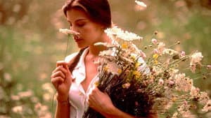 Stealing Beauty — foto 5