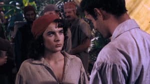 Anne of the Indies — foto 8