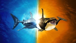 Killer Shark Vs. Killer Whale — foto 1