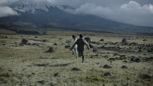 Hiedra — foto 3