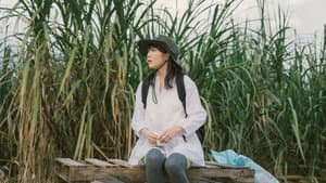 風のマジム — foto 1