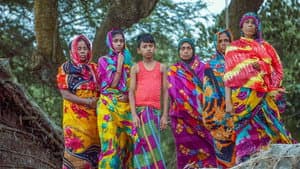 নোনাজলের কাব্য — foto 1