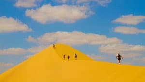 Desert Runners — foto 1