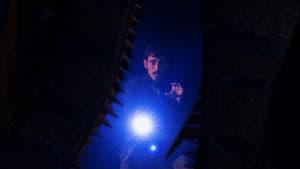 Non è un lupo — foto 2