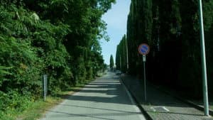 Il giardino nel paese del giardino — foto 1