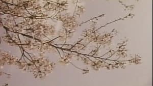 若奥様　太股びらき — foto 1