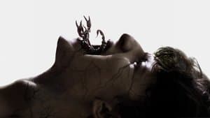 Shaman — foto 1
