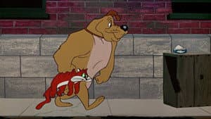 Chow Hound — foto 2