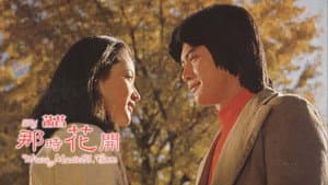 楓葉情 — foto 1