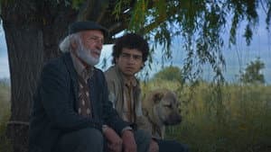 Արարատ Կղզի — foto 1