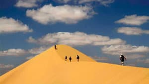 Desert Runners — foto 2