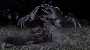 Queen Crab — foto 3